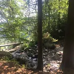 Apartment Schwarzwald 1060m Todtnauberg