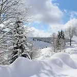 דירה Fewo Schwarzwald 1060m טודנאוברג