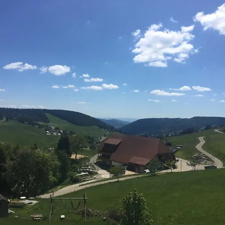 Fewo Schwarzwald 1060m