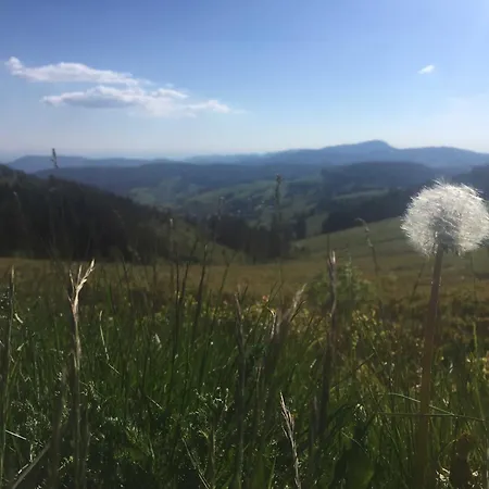 Schwarzwald 1060m