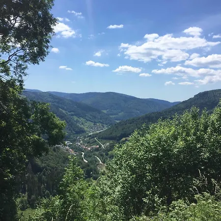 Fewo Schwarzwald 1060m דירה טודנאוברג