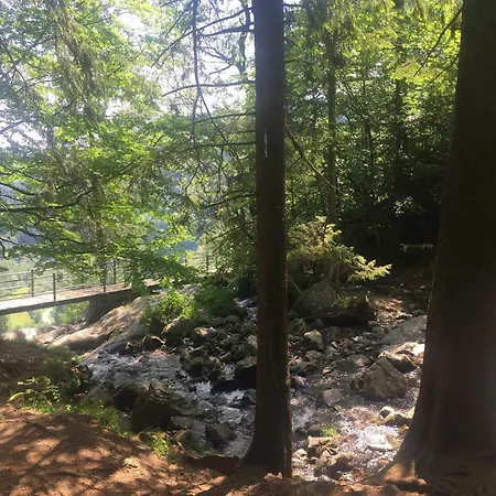 Apartamento Schwarzwald 1060m Todtnauberg