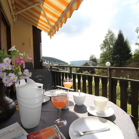 Schwarzwald 1060m * Todtnauberg