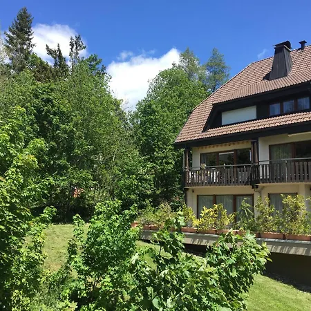 Schwarzwald 1060m Apartment Todtnauberg