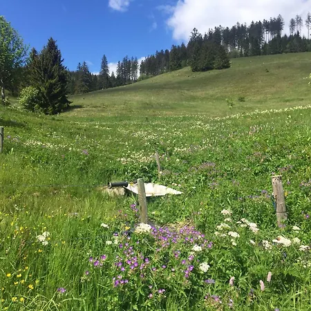 Fewo Schwarzwald 1060m דירה