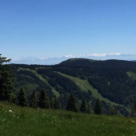 Apartamento Schwarzwald 1060m