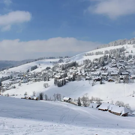 Schwarzwald 1060m Apartamento *